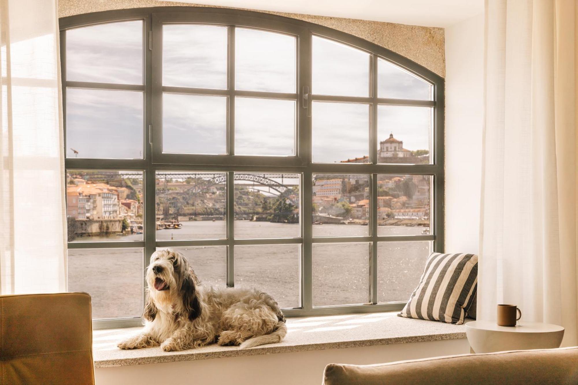 The Rebello Hotel & Spa - Small Luxury Hotels Of The World Vila Nova de Gaia Exteriör bild A window with a dog